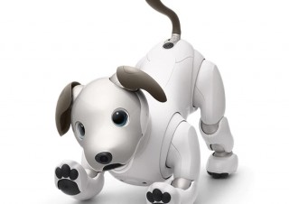ソニー、1月に発売した「aibo」の生産出荷台数が累計11111台を達成