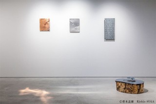 “もの派”を代表するアーティストの菅木志雄氏による個展「放たれた縁在」