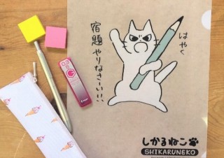 猫に叱られたらやらざるを得ない、色々なパターンでせかしてくれる「しかるねこ」発売