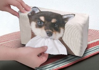 豆しばが“パクっ”とティッシュを咥えているデザインの「ティッシュケース」、ヴィレヴァンから