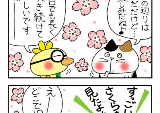 No.118 桜の開花宣言!!の巻