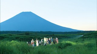 サカナクション ビジュアル・アーカイヴス 2008-2014