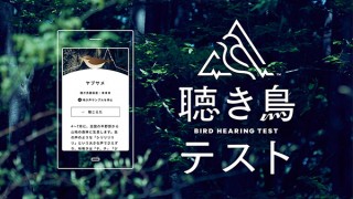 パナソニック、野鳥のさえずりで“聴きとる力”を確認できるWebサービス「聴き鳥テスト」を公開
