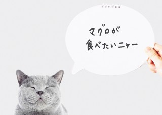 スガイワールド、SNS用の写真撮影にも活用しやすいデザインの「吹き出しノート」を発売