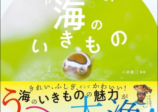 豊かな表情と、愛らしいフォルムに癒される「かわいい海のいきもの」発売