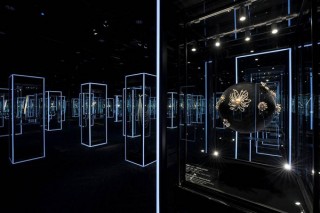 ハイジュエリーの空間に包まれるミラールームをはじめパールの魅力を体感できる「感じるパール展」