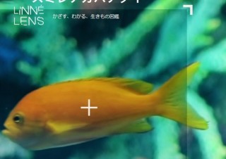 生物にiPhoneをかざすと名前がわかるアプリ「LINNÉ LENS」、第一弾は魚類中心4000種類