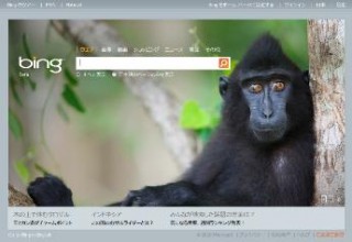 マイクロソフト、次世代検索エンジン「Bing」正式版7/13開始