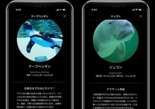 魚にスマホをかざすと名前がわかるAI図鑑アプリ「LINNÉ LENS」が無料体験開始