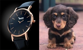 文字盤は大きく針は短い、ダックスフンドファンのための腕時計「Doxie Watches」が登場