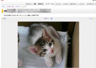 NTTレゾナント、ケータイから写真を投稿して共有できる「gooブログ フォトチャンネル」公開