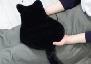 いつでも膝の上にのっかって足を温めてくれるニャンコ、その正体はUSB給電の「猫型ヒーター」