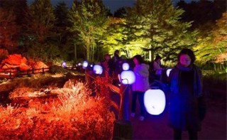 ライトアップされた紅葉と夜のアート作品を楽しめる「ザ・ナイトミュージアム」
