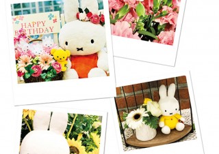 ミッフィーと花を一緒に撮影した写真を募集している「ミッフィーとお花のフォトコンテスト」