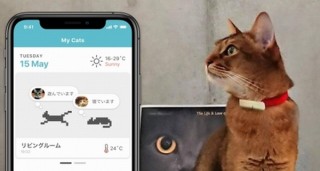 猫の運動や睡眠などをスマホでチェックできる猫専用ウェアラブルデバイス「Catlog」