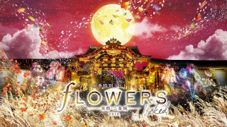 世界文化遺産の京都元離宮二条城で“花と伝統”をテーマにした秋季特別ライトアップがスタート