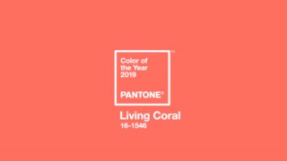 PANTONEが“カラー・オブ・ザ・イヤー 2019”を発表。来年の流行色は鮮やかな珊瑚色「16-1546 Living Coral」