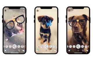 Snapchat、犬用フィルターに特化した「犬用レンズ」搭載。猫用レンズに続き