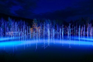 “写真熱”をテーマとしたフォトコンテスト「LUMIX AWARD 2018」の受賞作品展が開催