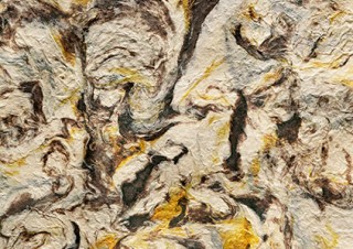 大原大次郎氏と田中義久氏による互いを研究対象の素材とした2人展「大原の身体 田中の生態」