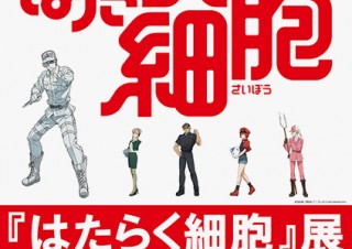 人間の身体の中の細胞たちの活躍を描いたTVアニメ「はたらく細胞」の展覧会が開催中