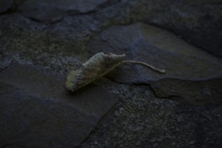 メディアアーティストの落合陽一氏の写真展「質量への憧憬〜前計算機自然のパースペクティブ〜」