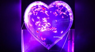 大きなハートの水槽などに多彩な金魚が展示されている「バレンタインアクアリウム」