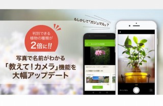 植物の写真を撮ると名前を教えてくれるアプリ「GreenSnap」、判別種類を2倍に拡大