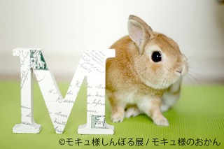 人気のうさぎのモキュ様の10年間を振り返る作品群が集まった「モキュ様しんぼる展」