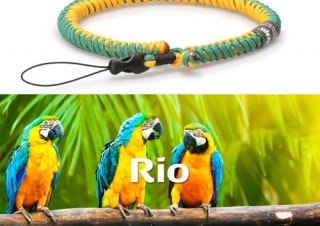 アマゾン、マイアミなど地域と自然をモチーフにした色鮮やかなカメラストラップ「Straps」発売