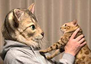 愛猫に変身!? 骨格から作る超リアルなペットマスク「My Family（マイファミリー）」受付開始