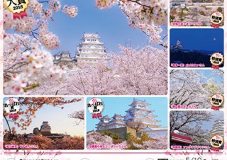 春を感じさせるような世界遺産の姫路城の写真を募集している「姫路城の春 2019」