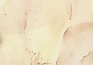 描いたモチーフと和紙の層が一体となった平面作品を中心に発表する山本志帆氏の個展「有機」