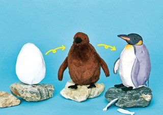 フェリシモ、卵・ヒナ・成鳥と3変化するオウサマペンギンぬいぐるみ発売