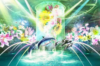 マクセル アクアパーク品川で初夏の訪れを祝う新しい季節イベントが開催中