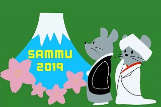 色とりどりの稲で水田に絵を描きだすイベント「さんむ田んぼアート2019 はじめる田植え」