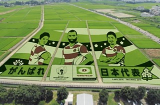 田んぼアートで今年ワールドカップのあるラグビー日本代表を応援、リポDの大正製薬が協賛