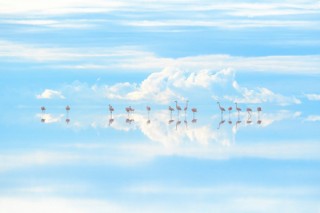 地球と生きものの姿を“水”を切り口に撮影した高砂淳二氏の写真展「PLANET of WATER」