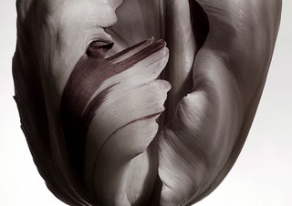 マーク・ヴァサーロ氏による写真と陶芸コレクションの展示販売「Emptiness is Form」