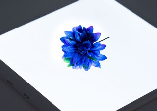 上海問屋、“影のない物撮り”を手軽に実現できるLEDライトボードを発売