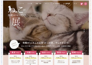 猫好きによる猫好きのための写真＆グッズ展「ねこがかわいいだけ展」が全国5会場で開催