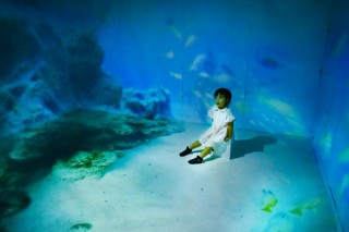 前後左右と床の5面で実写映像を楽しめる自然体験ミュージアム「DOORS」が期間限定オープン