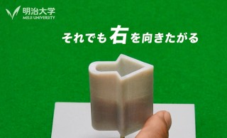 不思議な立体錯覚作品が展示される特別展「見えているのに見えていない！立体錯視の最前線」