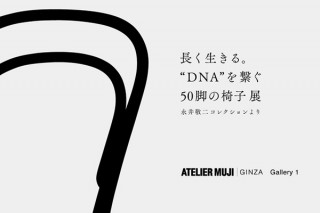 1脚を原点として椅子の“DNA”の広がりを紹介する企画展「長く生きる。“DNA”を繋ぐ50脚の椅子」