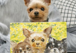 動物をモチーフにした約400点のハンドメイド作品を販売する「かわいい動物あつめました。」