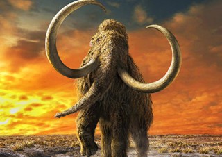 日本科学未来館で好評開催中の「マンモス展」が公式イラストキャラクターを募集