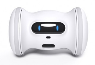 バレム・ジャパン、ペット用スマートロボット「VARRAM PET FITNESS」を発売