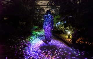 チームラボの光のアートによる演出を楽しめる「世界を旅する植物館 水の道 光の道」