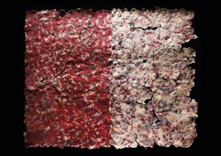 紙漉きの手法で植物繊維を利用した作品を制作する半澤友美氏の展覧会「The Histories of the Self」