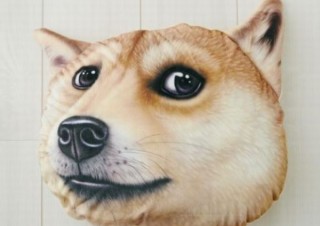 猫犬の目力をめいっぱい強調した「猫顔&犬顔クッション」、ヴィレヴァンから発売